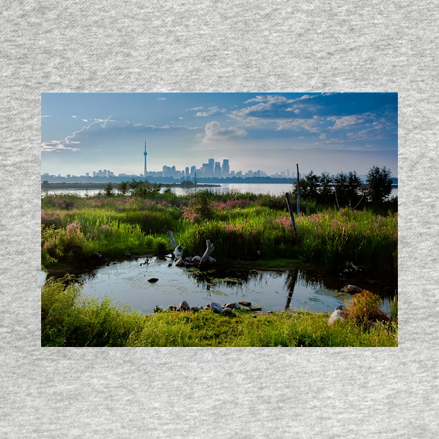 Toronto Skyline From Tommy Thompson Park by learningcurveca